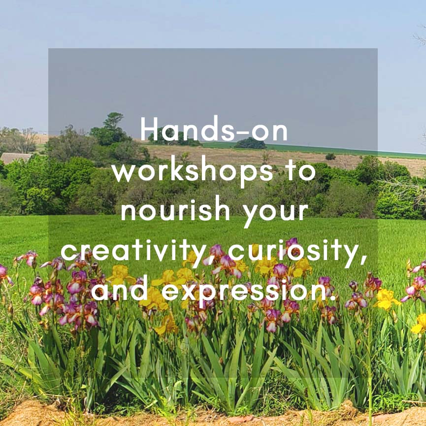 Yellow and purple irises in bloom, evoking creativity, expression, and hands-on artistic exploration