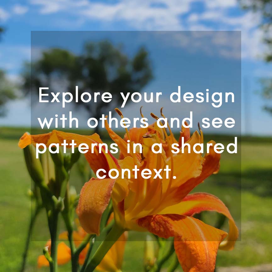 Orange daylily with green grass and trees in the background, symbolizing connection and shared learning in group Human Design experience