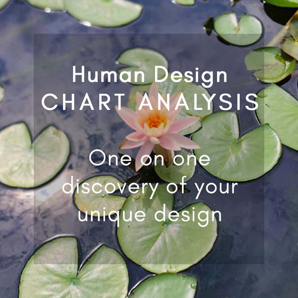 Human Design Focus Session - [30 min]