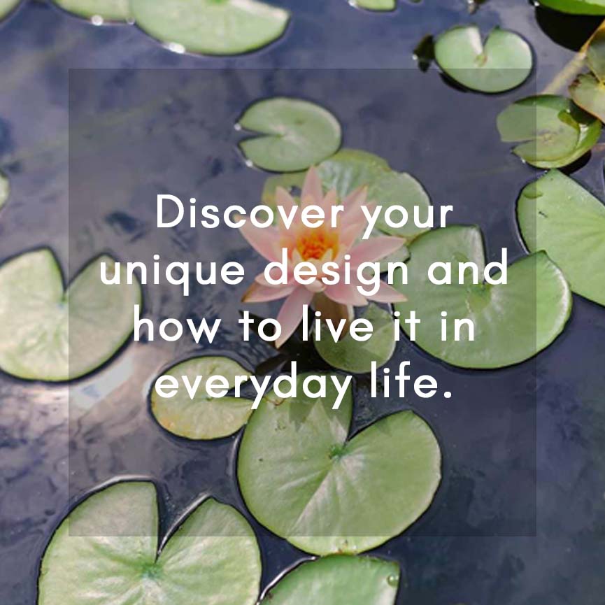 Green lily pads floating on water, representing calm and personal growth for one-on-one Human Design sessions