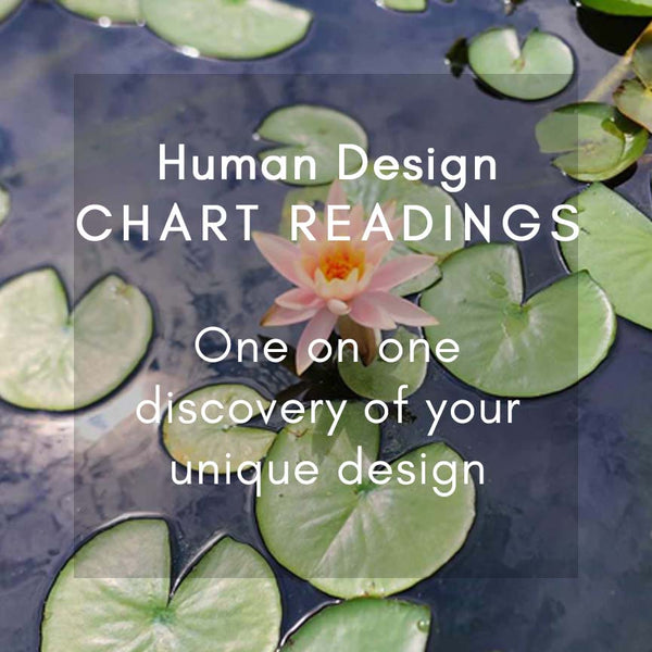 Human Design Advanced Chart Reading - [60 min]