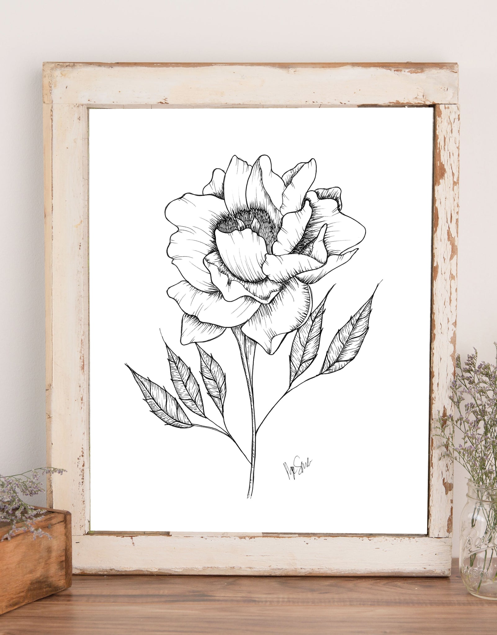 Wall art of line drawing illustration of a peony with stem and leaves